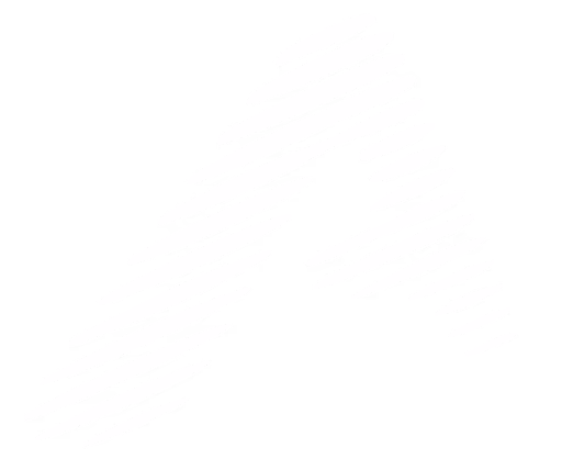 AMR Resources Acquisition Corp logo